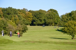 A view over the rolling green near the 7th hole of Chingford Golf Course with the treeline beyond