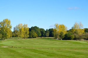 A photo of the green near the 7th hole at Chingford Golf Course