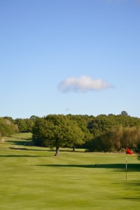 A view over the 9th hole at Chingford Golf Course on a bright sunny day