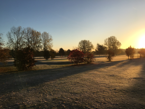 A view of the course at the crack of dawn with the sun just cresting the horizon and throwing long shadows from trees